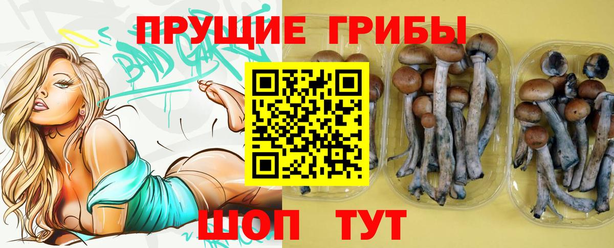 Псилоцибиновые грибы мицелий  Псилоцибиновые грибы Cubensis  Вход с VPN  Будённовск 