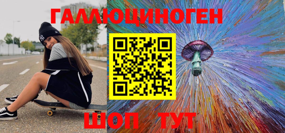 Псилоцибиновые грибы Psilocybe Будённовск