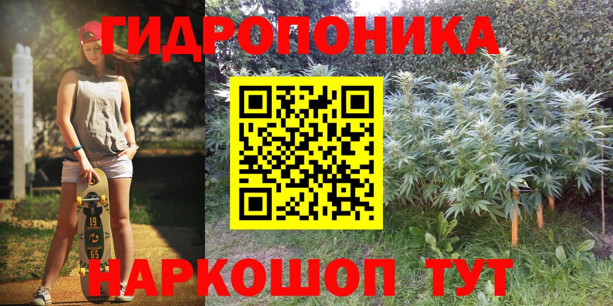 Будённовск  Канабис тримм  Вход с VPN  МАРИХУАНА сатива  Марихуана марихуана 